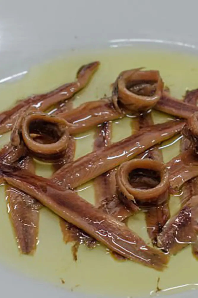 salazon-anchoas-castellon