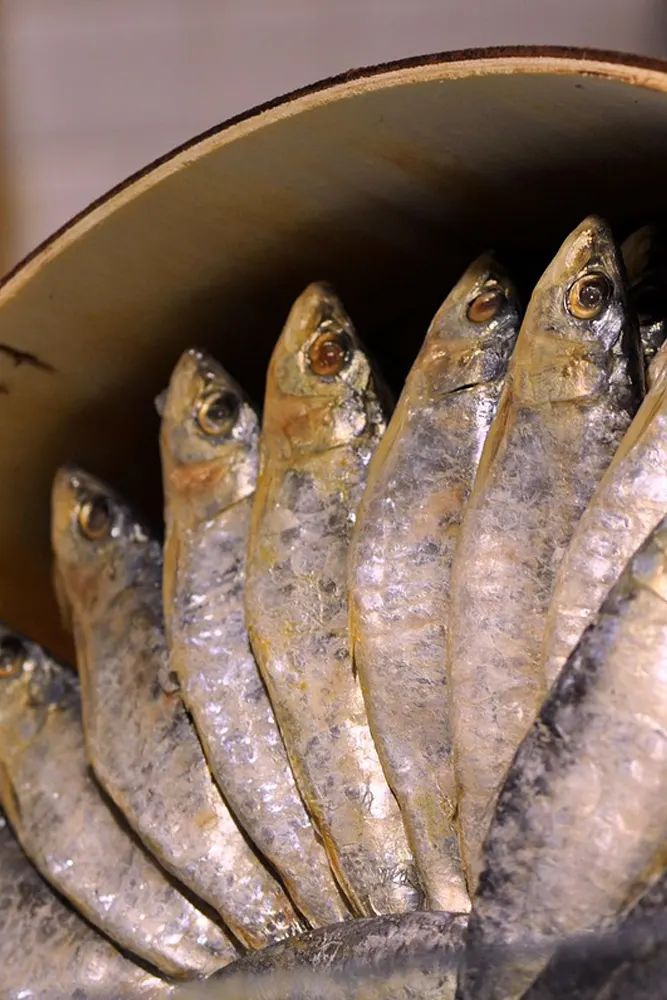 sardinas-sazonadas-castellon